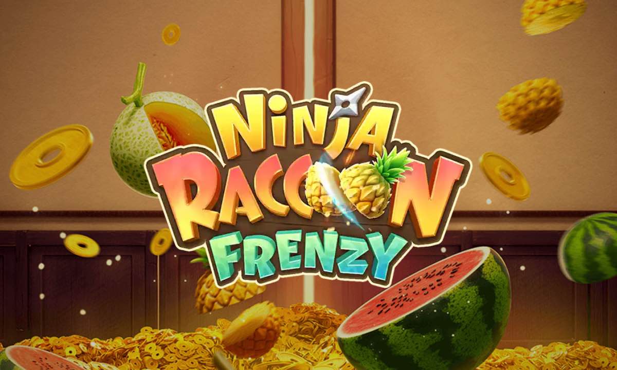 Ninja Raccoon Frenzy